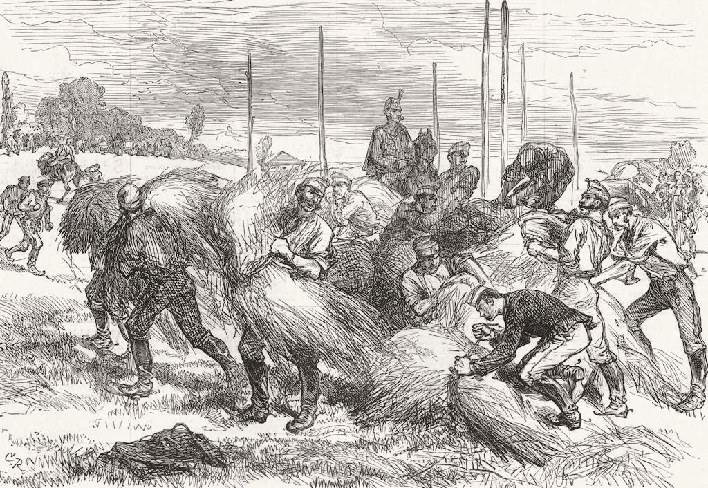 FARMING. Austrians making free with Haystacks 1878 old antique print picture